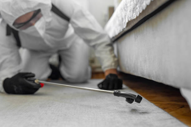 Professional Bed Bug Control technician working in Hebron, NE