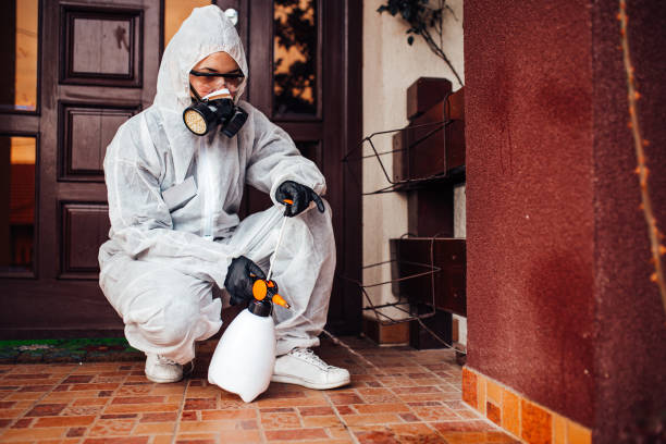 Reliable Bed Bug Control contractor in Hebron, NE by Nex Pest Control